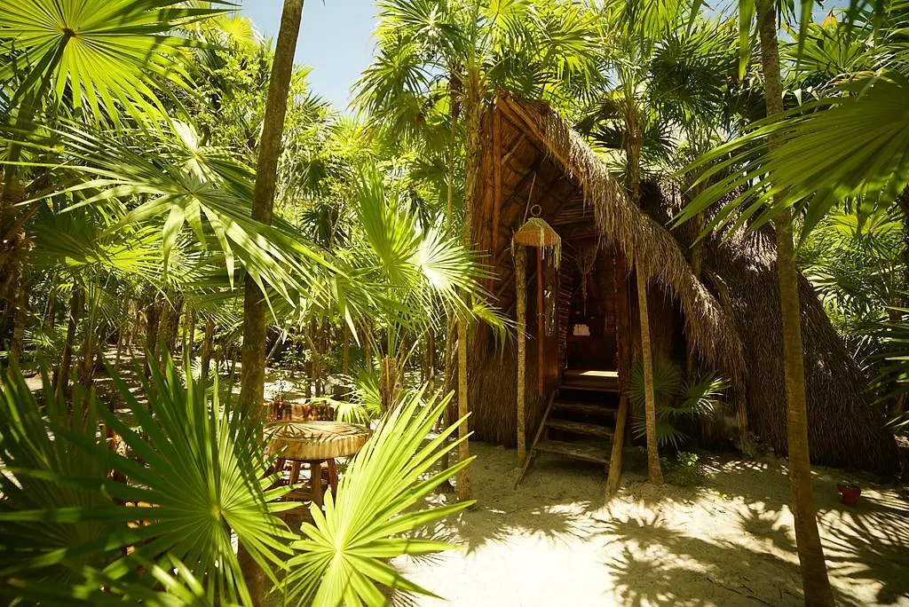Ikal Boutique Hotel Tulum